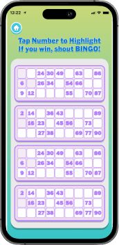 Bingo Ticket Generator
